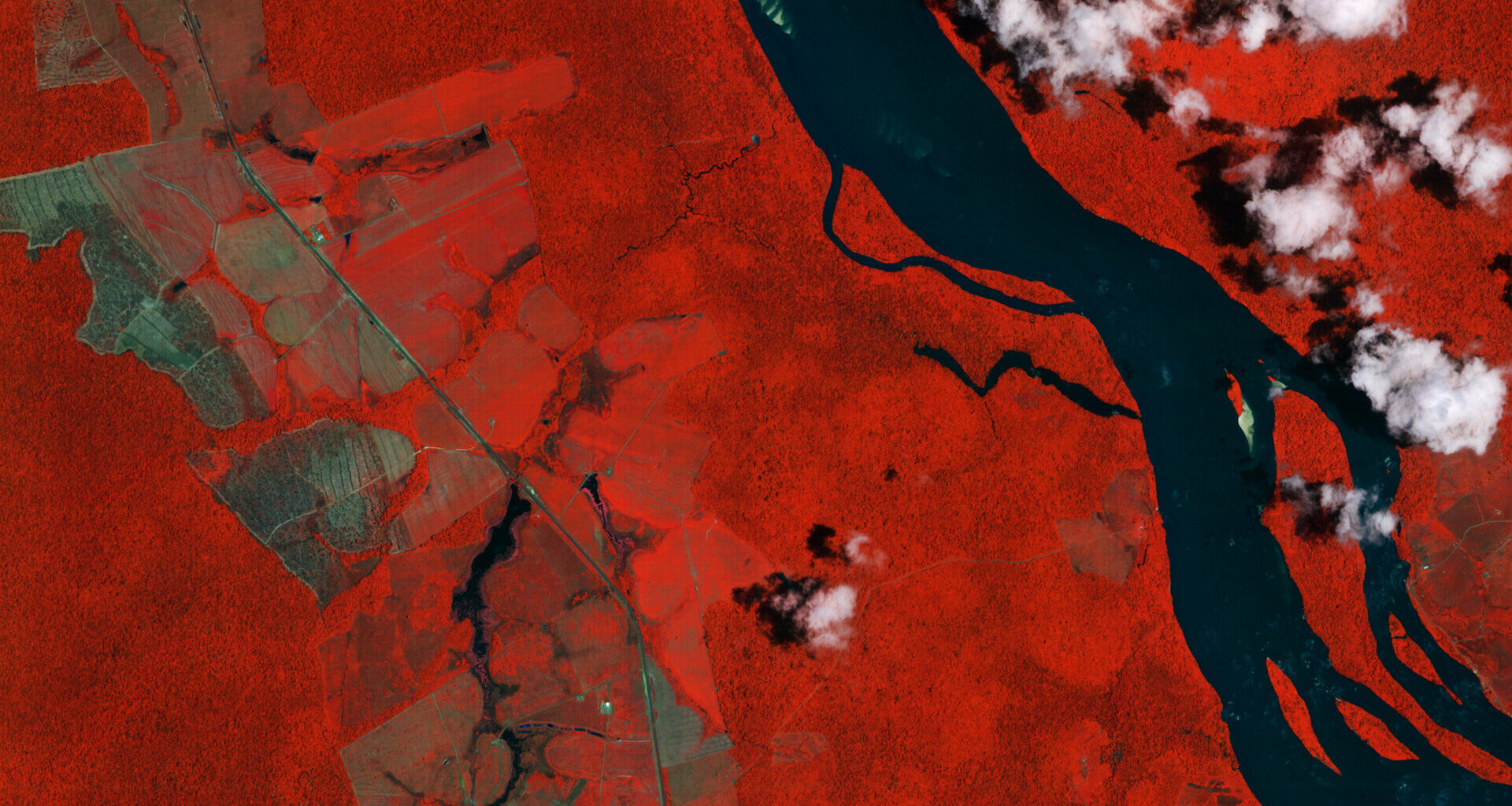 Ahead of the 30th UN Climate Change Conference of the Parties (COP30) taking place in Belém, Brazil, from 10-21 November, this IRIDE image shows the Branco River and its surrounding forests in the Brazilian state of Roraima.