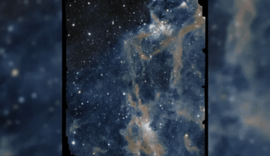 Euclid Space Telescope Captures Gorgeous Cosmic Cloud In Stunning Detail