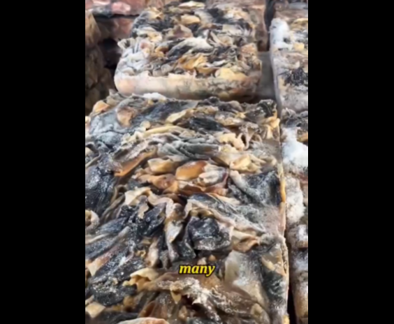 Video of unhygienic fish oil processing makes consumers question these capsules as health supplements