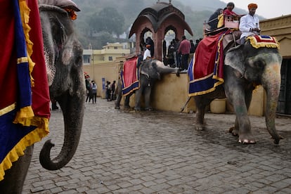 Elefantes llevan a turistas al Fuerte Amber.