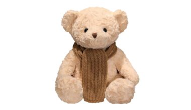 Sales of a teddy bear were suspended because of its sexually explicit AI