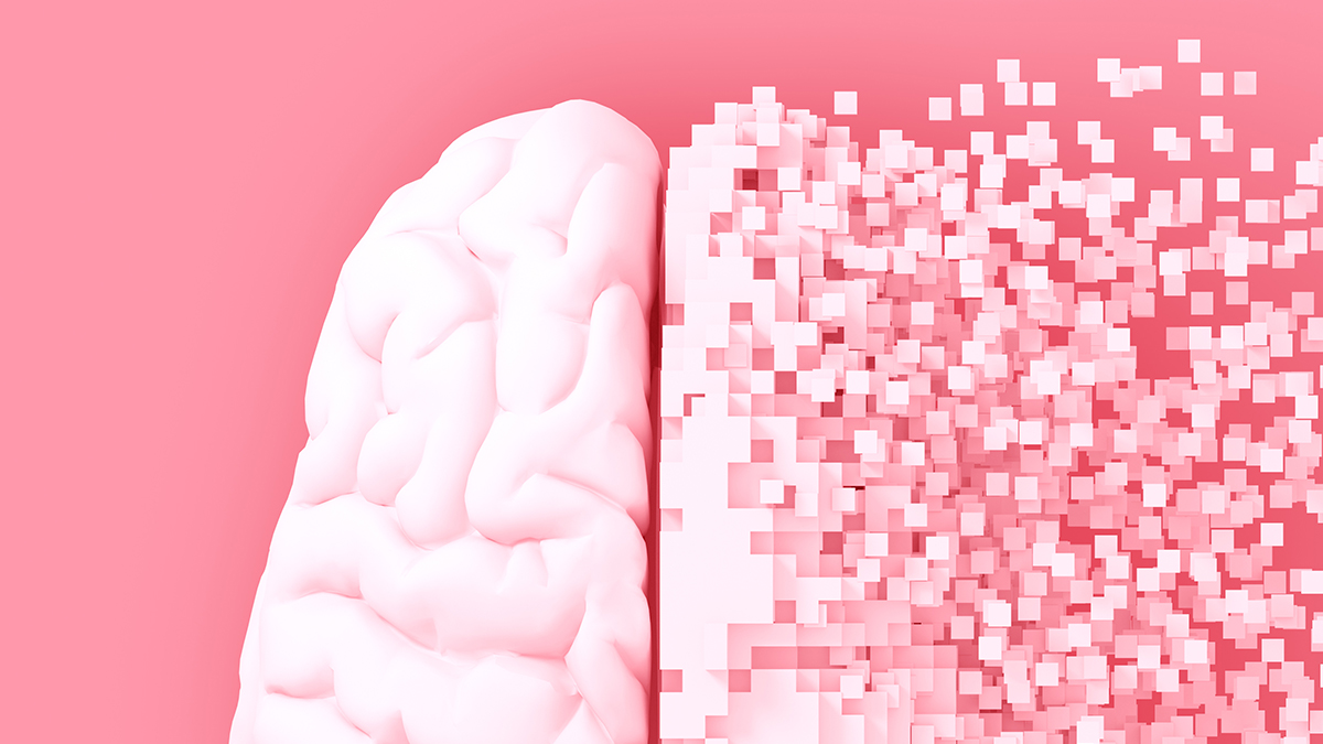 Boosting One Protein Reawakens Aging Brain Cells in Mice, Study Shows : ScienceAlert