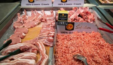 Thailand’s pork industry fears influx of cheap US imports under Trump | Business and Economy News