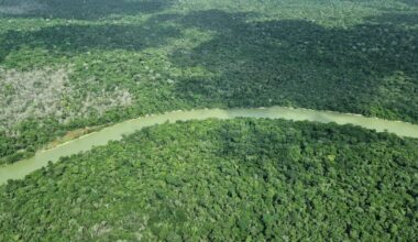 Brazilian lawmakers seek to decimate green laws one week after hosting climate summit – POLITICO