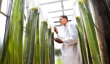 New plan to unlock the bioeconomy’s potential