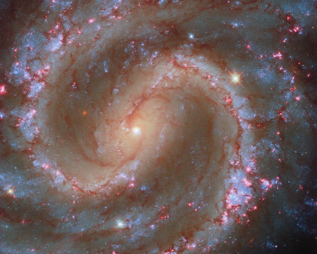 A close-in view of a spiral galaxy that faces the viewer. Brightly lit spiral arms swing outward through the galaxy’s disk, starting from an elliptical region in its center. Thick strands of dark reddish dust spread across the disk, primarily along the spiral arms. The arms also contain many glowing, pink-red spots where stars form and clumps of bright-blue star clusters. Beyond its spiral arms, the galaxy is a bit fainter and speckled with blue stars.