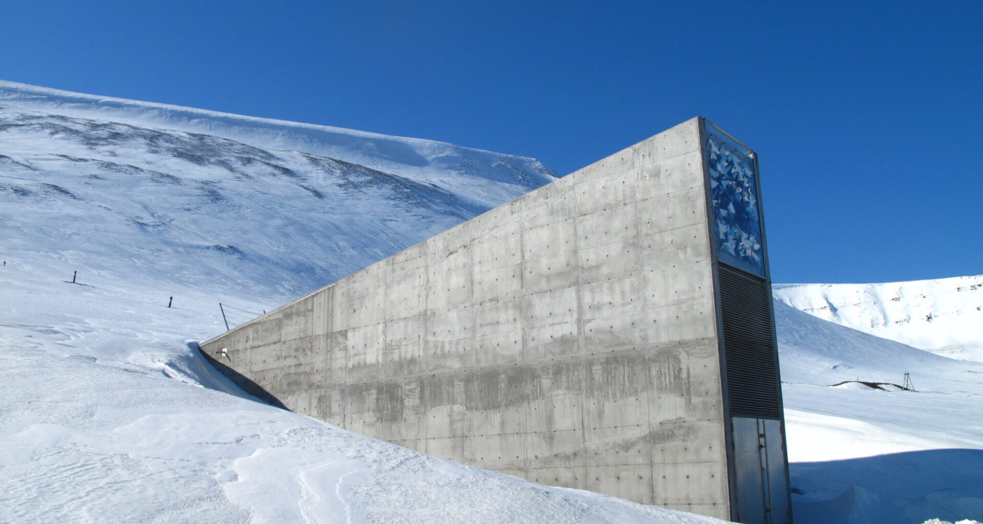 The ultimate backup: why humanity needs a lunar seed vault — now