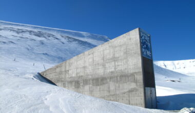 The ultimate backup: why humanity needs a lunar seed vault — now