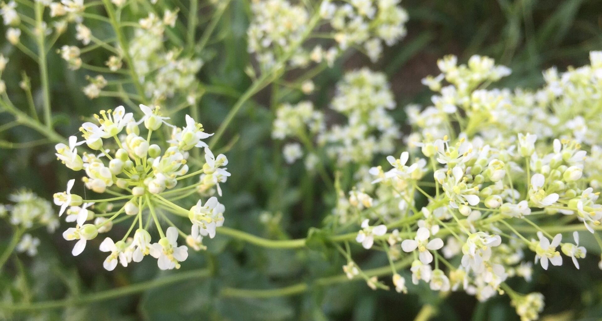 Abnormal Bleeding, Hormones, and More