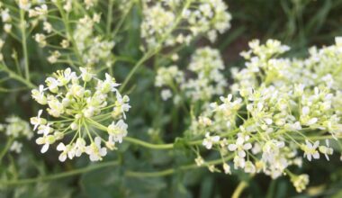 Abnormal Bleeding, Hormones, and More