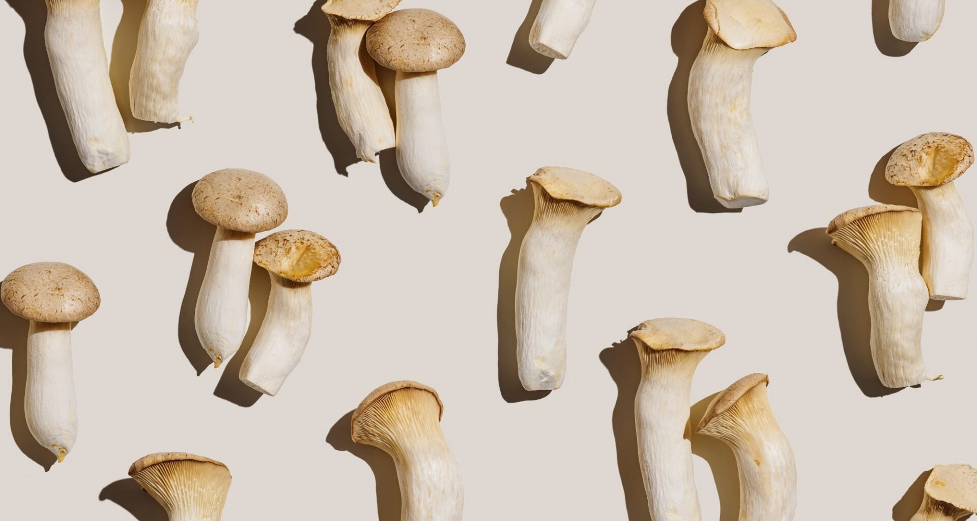 Review: Mushroom consumption impacts on biomarkers of cardiometabolic disease risk and immune function: a narrative review from a whole food perspective. Image Credit: YRABOTA  / Shutterstock