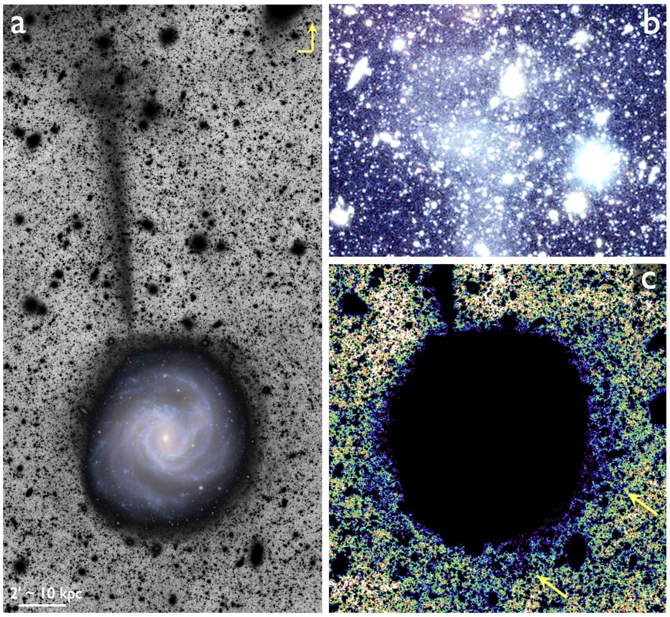 a figure showing different views of the stellar stream from M61