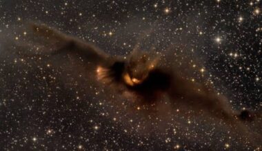 Just In Time For Halloween, Astronomers Spot Giant Space Bat Soaring Through The Galaxy