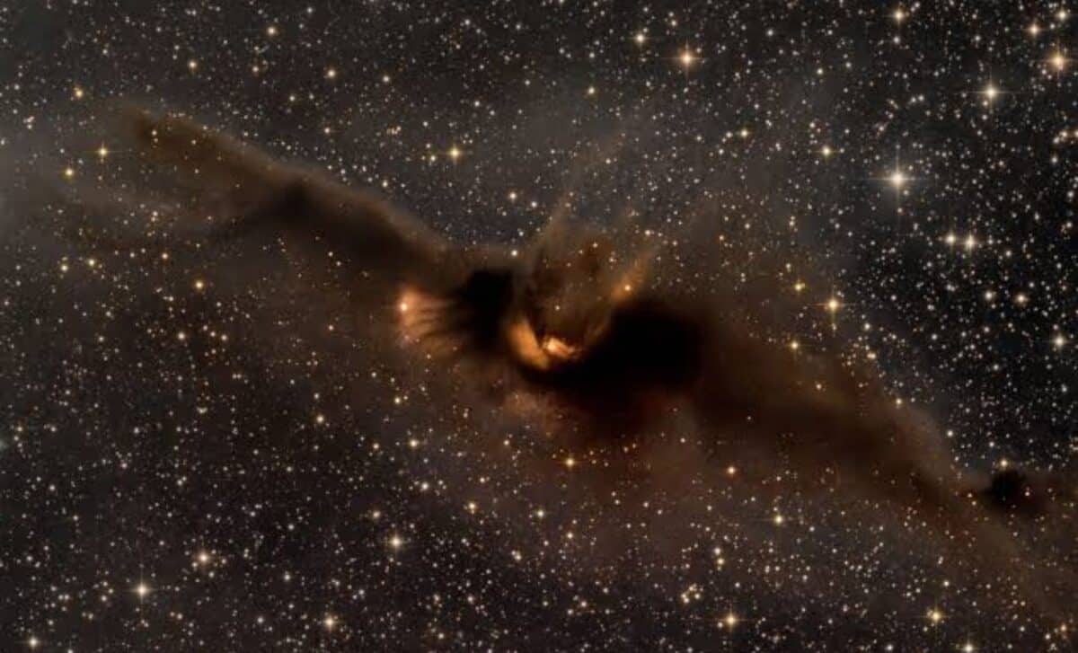Just In Time For Halloween, Astronomers Spot Giant Space Bat Soaring Through The Galaxy