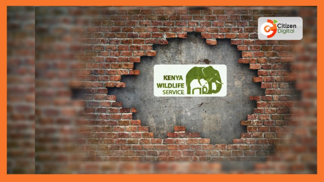 KWS and eCitizen address concerns over new KWSPay payment system