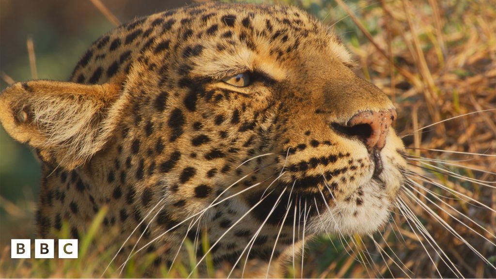 Creative Lab: Abysmal Artworks - Lots of Horrible Histories characters throughout history are posing together