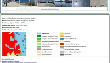 A screenshot of the GLOBE Land Cover satellite comparison table. The table includes information and photographs of the land, submitted by the volunteer, as well as a Moderate Resolution Imaging Spectroradiometer (MODIS) land cover classification image for that location and a Landsat and Sentinel-2 image closest in time to the GLOBE Observer observation.