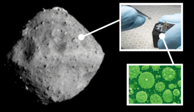 (Main) An image of the asteroid Ryugu as seen by the Japanese mission Hayabusa2 (Top right) a sample of Ryugu provided to NASA scientists (bottom right) an illustration of bacteria