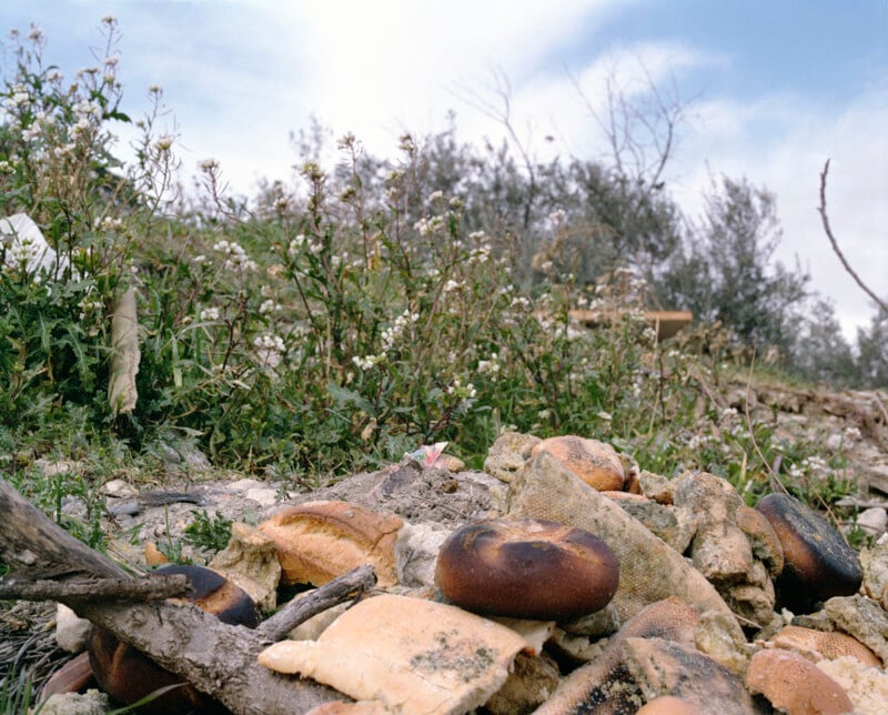 Several burnt and discarded loaves of bread lie on the ground among rocks and debris, with wildflowers and shrubs in the background under a partly cloudy sky.