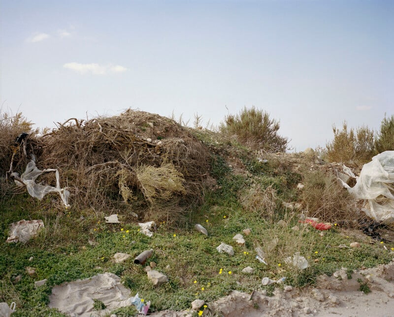 A pile of dried plants, plastic waste, and other trash is scattered on green grass with small yellow flowers under a clear sky. Shrubs grow in the background.