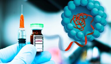 Particles that enhance mRNA delivery could reduce vaccine dosage and costs | MIT News