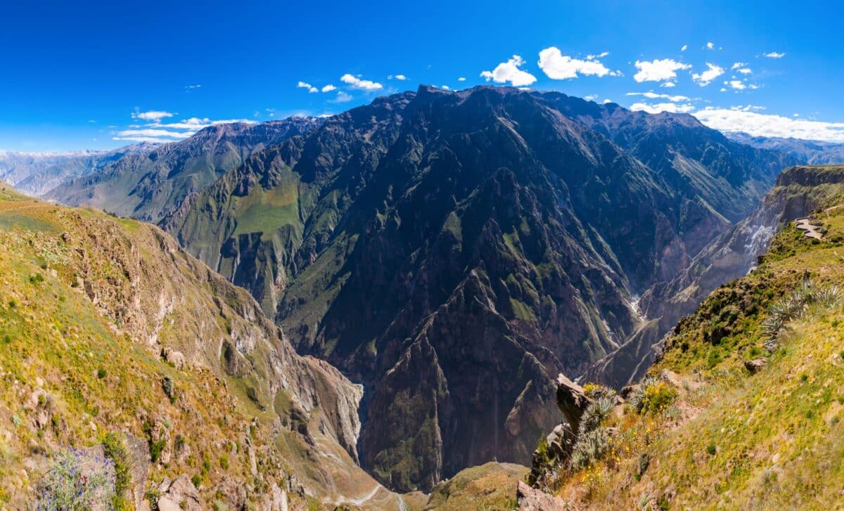 Meet The Strangest New Creature With Red Eyes And ‘long Fingers’ Found In Peru