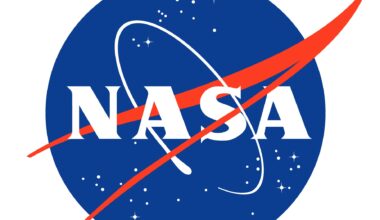 In a first, NASA’s Perseverance finds an exotic rock on Mars