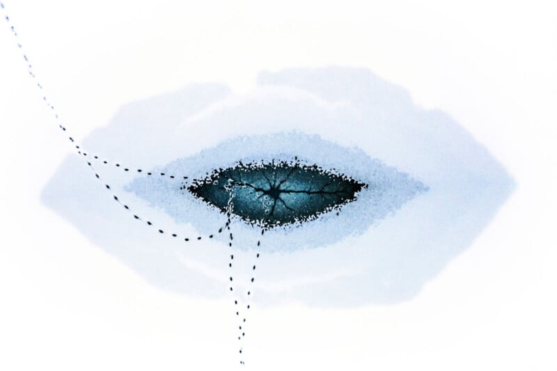 Abstract image showing a blue, eye-shaped form with a dark, cracked center and dashed lines crossing it, all set against a white background. The overall appearance is reminiscent of a stylized eye or mouth.