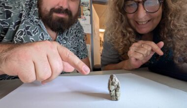 12,000-Year-Old Artifact Depicts a Goose Having Sex With a Woman