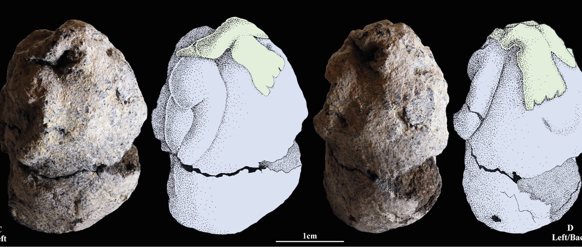 Different views of Natufian clay figurine
