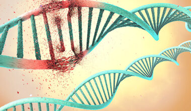 Source: man_at_mouse/Getty Images