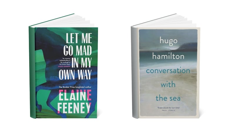 Elaine Feeney’s Let Me Go Mad in my Own Way and Hugo Hamilton’s Conversation with the Sea