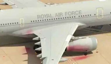 Clownish Proscriptions: Challenging the Palestine Action Ban