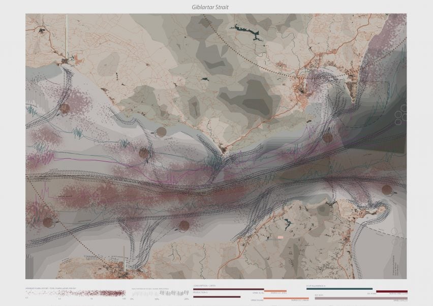 The Bluefin Tuna. Ecology at risk by Salvatore Tartaglia, Zhenhao Chen, Diego Eduardo Hernandez Santa Maria and Alma Eliza Shiamtani