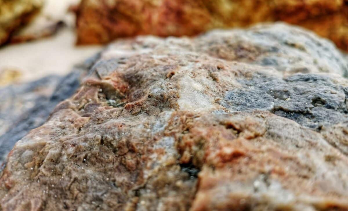 Rocks Found In Australia Could Unveil The Mystery Of The Moon’s Birth