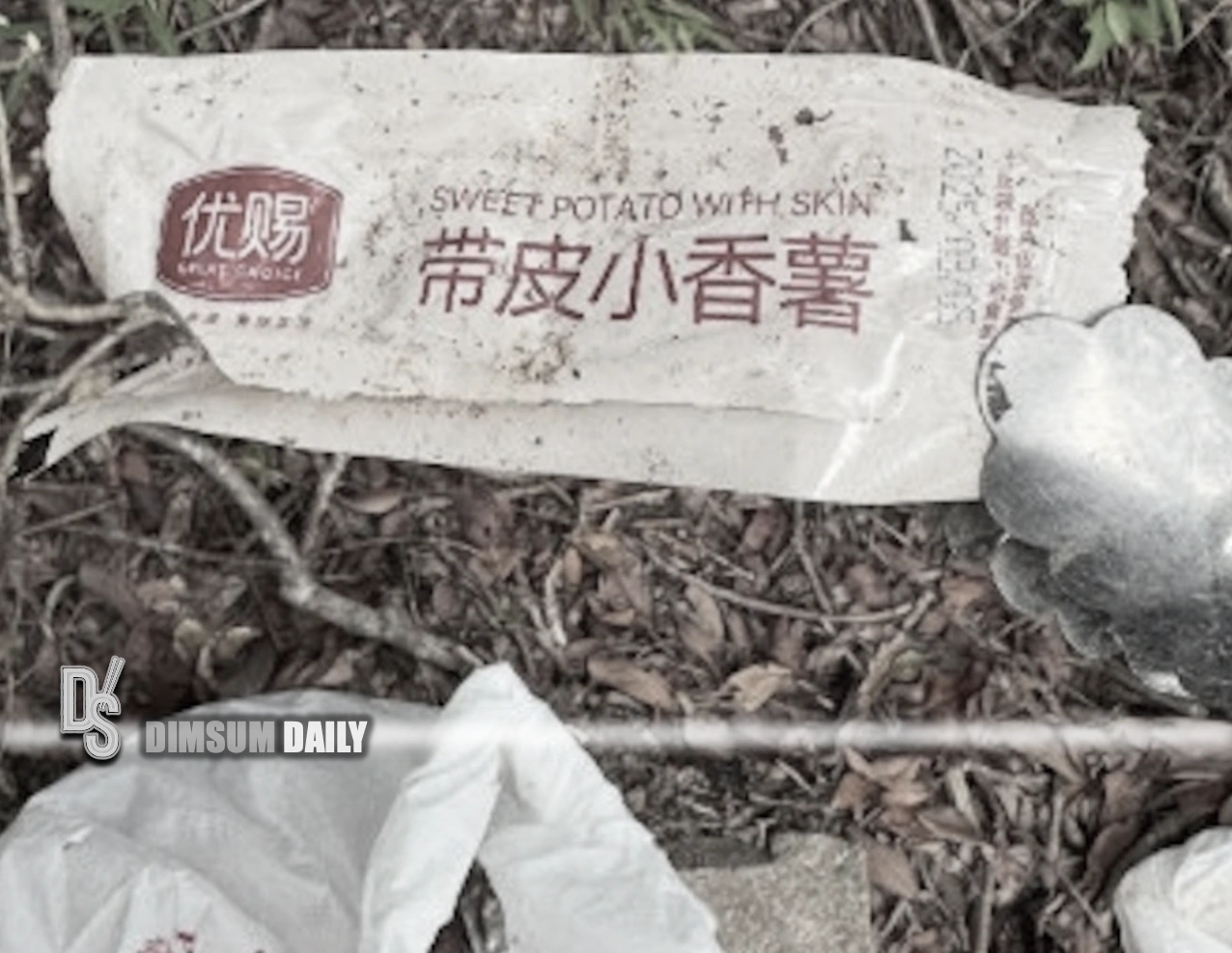 Simplified Chinese packaging dominates litter found in Hong Kong countryside clean-up