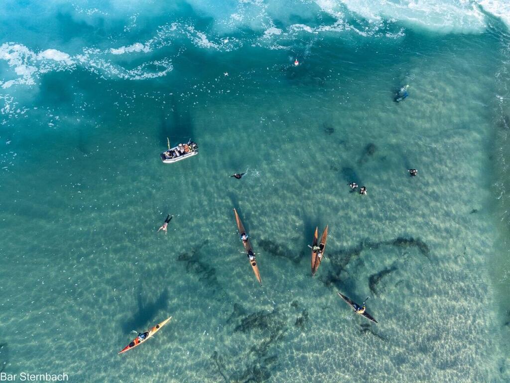 כרישים ומתרצחיים בחוף