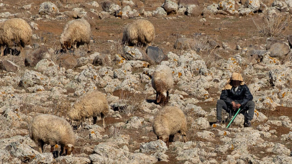 יאיר קראוס, בביקור בסוריה