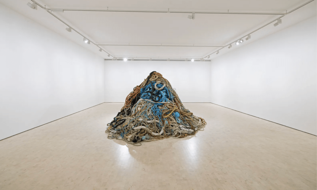 David Shrigley is selling a pile of old rope for £1 million