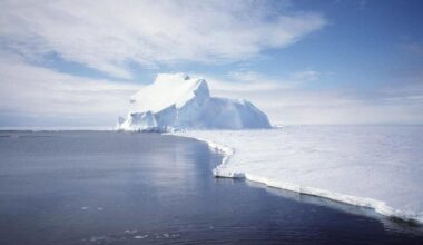 Thanks to treaty, Antarctica's ozone hole smaller, scientists say