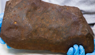 Man Keeps Rock For Years, Hoping It's Gold. It Turned Out to Be Way More Valuable. : ScienceAlert