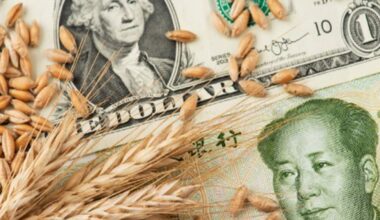 China reportedly made purchases of two cargoes of US wheat for December shipment