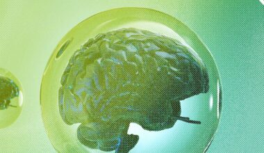 The 4 Things You Need for a Tech Bubble