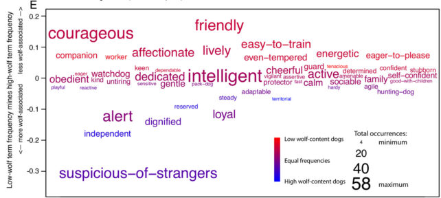 Your Dog Probably Still Has Some Wolf DNA in Its Genome, Study Finds