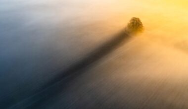 This breathtaking drone image won two major awards – captured with a DJI that redefines what's possible with aerial photography