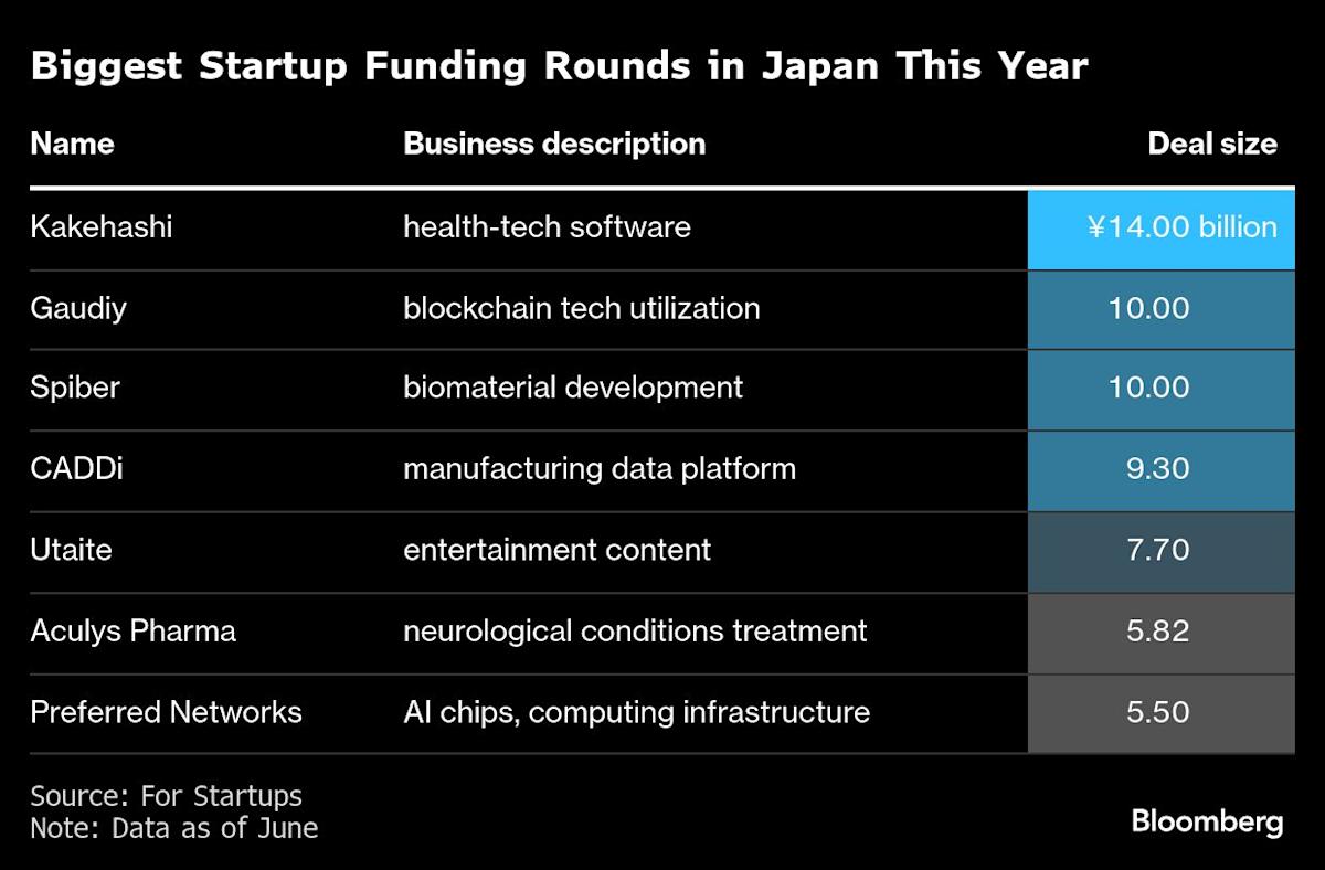 AI Startup Turing Secures Denso’s Backing at $388 Million Value