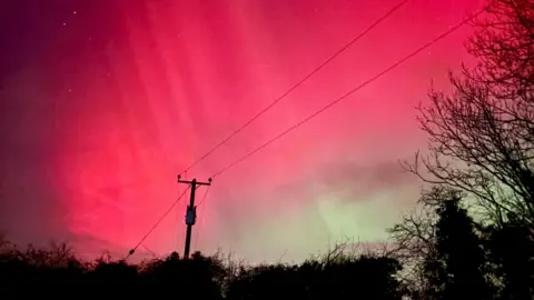 BBC weather watcher / Paddy The Northern Lights lighting up the sky in shades of pink and green. A row of trees and an electricity pole are visible at the bottom of the image. 