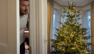David Beckham Recreates His Viral 'Be Honest' Meme After Victoria Beckham Reveals Perfectly-Decorated Christmas Tree