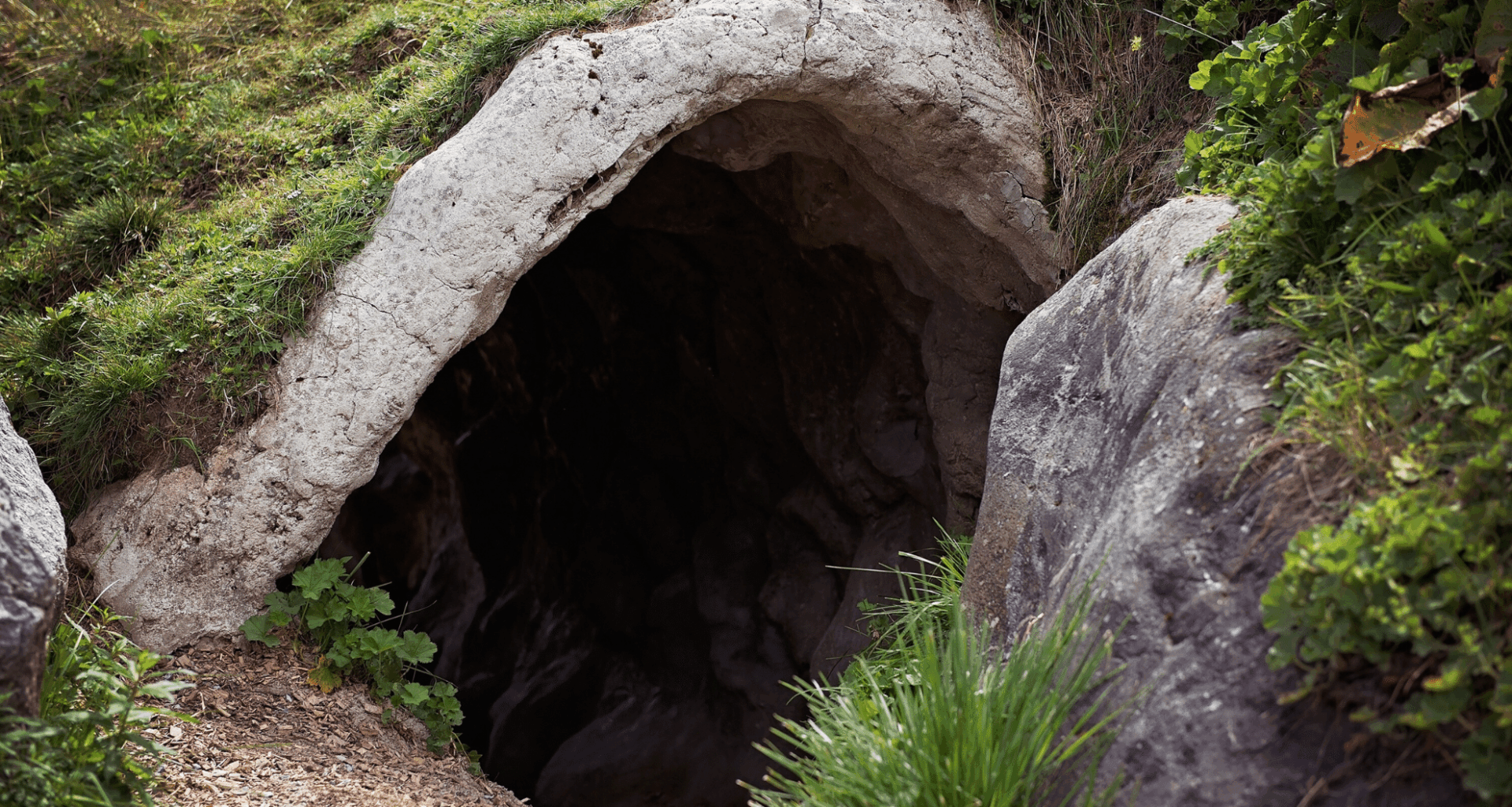 After Over 50 Years, Nearly Extinct Species Makes Unexpected Comeback!