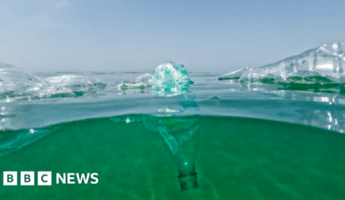 Plastic pollution spends a century on ocean surface, study finds